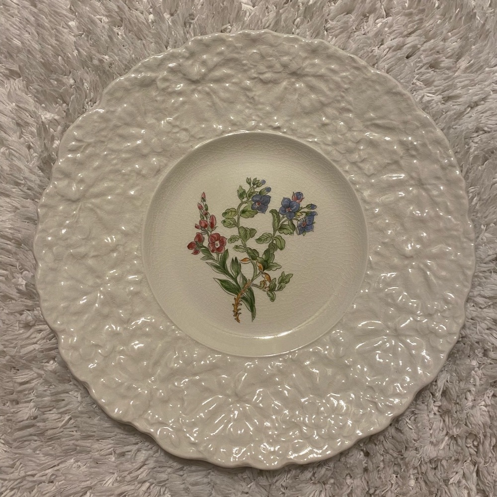 Royal Cauldon Bristol Ironstone Woodstock “Speedwell” Floral Plate